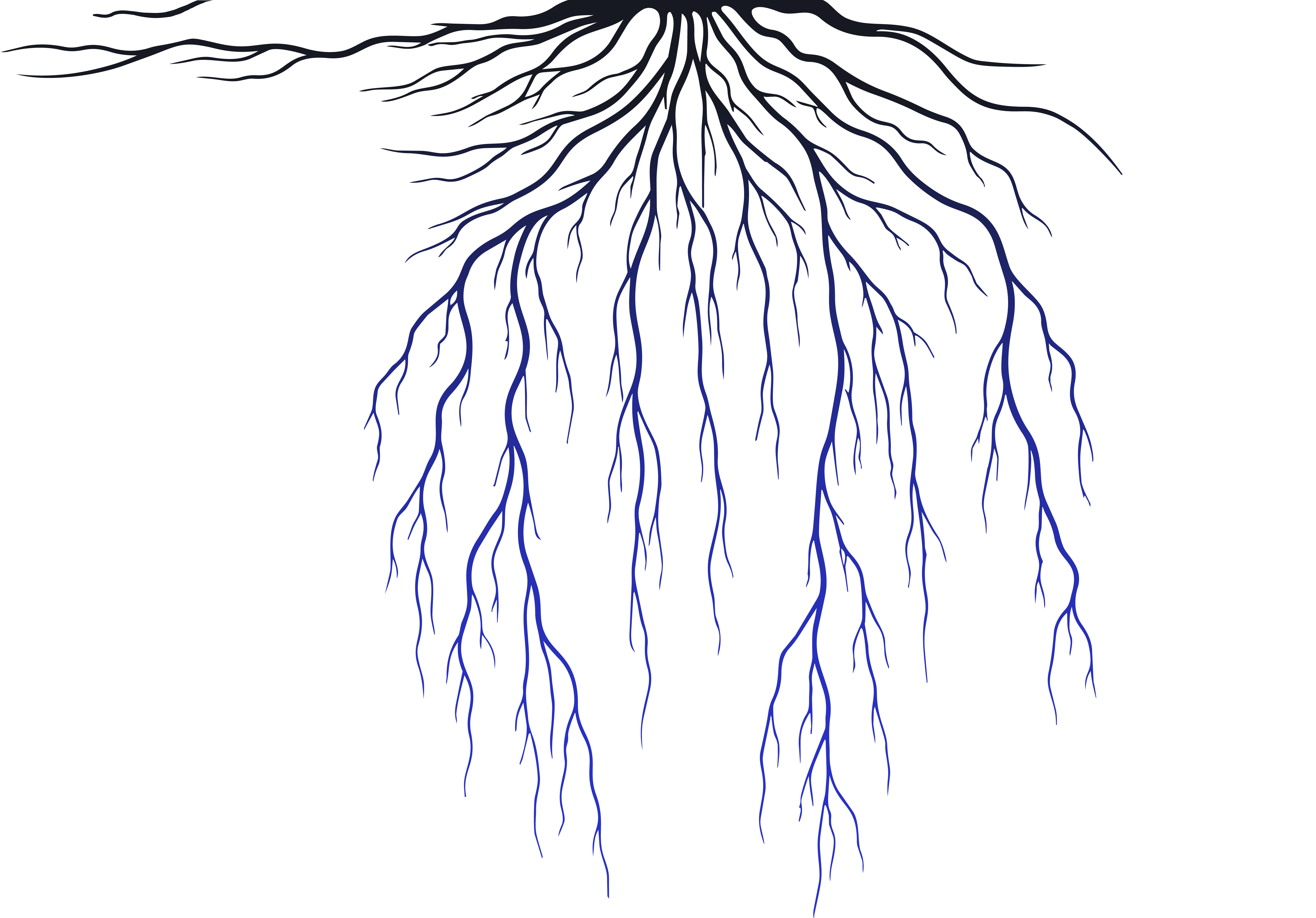 ZUZS tree